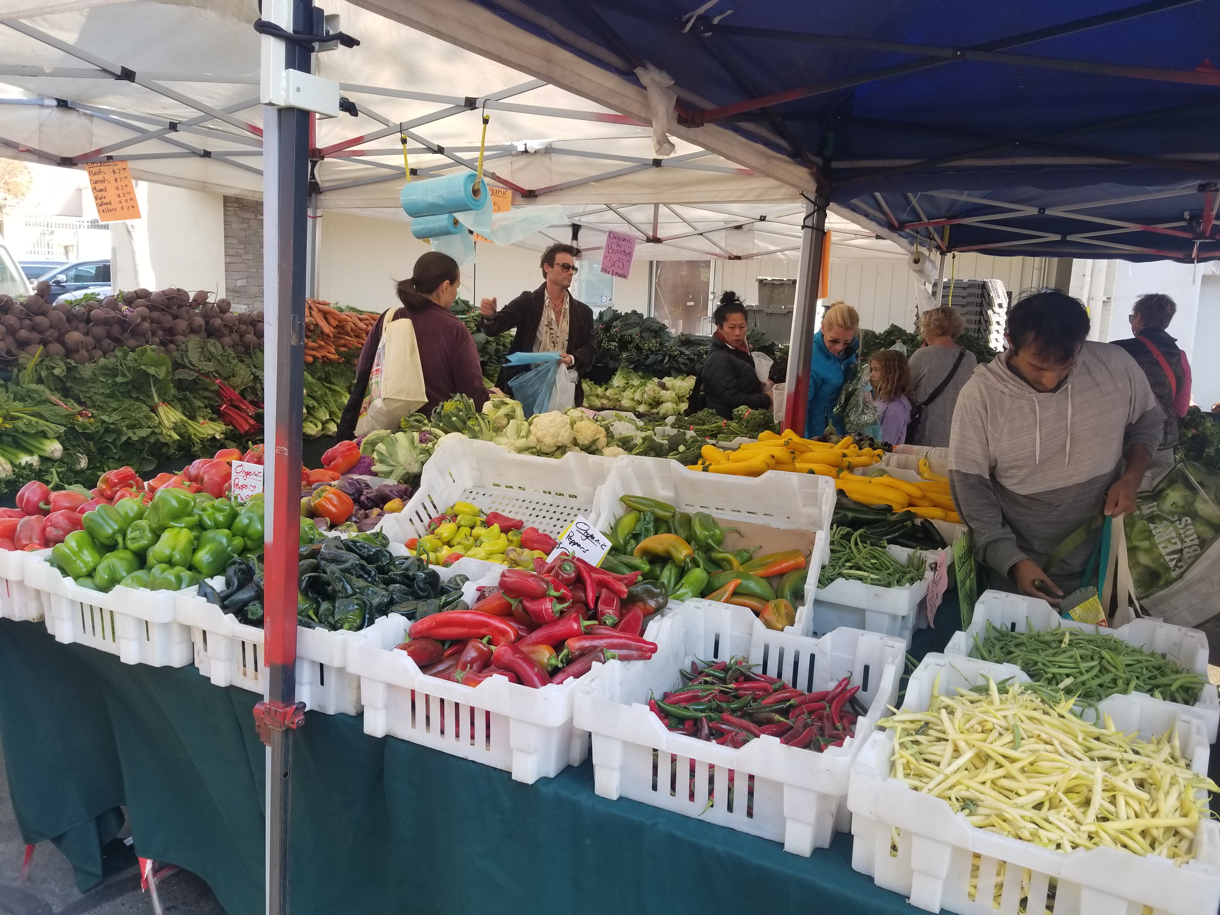 Downtown Walnut Creek Farmers’ Market Active Senior Living Walnut