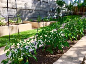 Our fine dining experience fueled by local gardening.