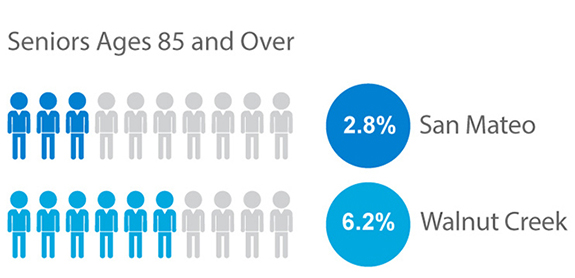 Population Seniors Ages 85 and Over