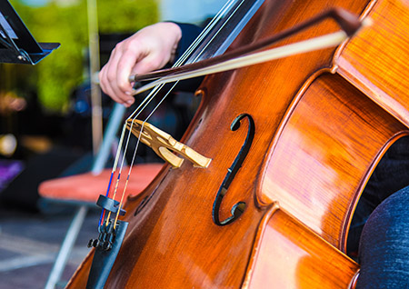 Entertainment - Walnut Creek and Petaluma Retirement Community