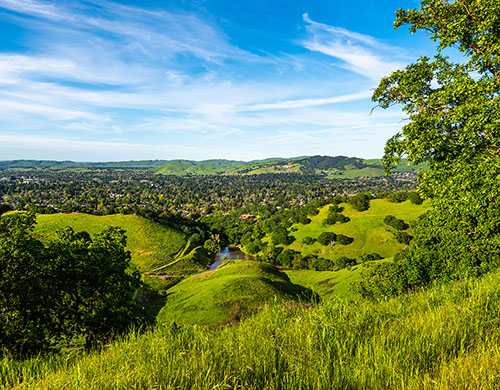 Beautiful Bay Area Retirement City in Northern CA