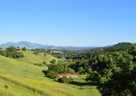 Walnut Creek Retirement Community in Northern CA