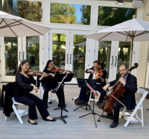 Group of musicians sitting on a patio playing a violin Viola and a cello