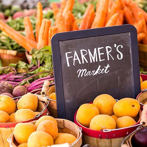 Things to Do in Walnut Creek: Activities Guide for Visitors – Farmer’s Market, Golf, Horseback Riding, Street Fair, Botanical Garden