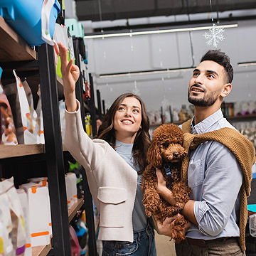 Pets Stores, Vets and Groomers in the Walnut Creek Area – San Francisco Bay Area – Dogs, Cats, Fish, Birds