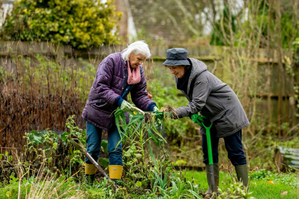 Gardening Tips for Seniors