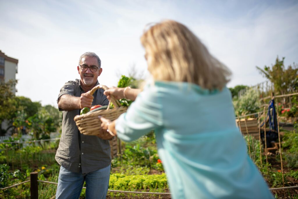February Gardening Tips